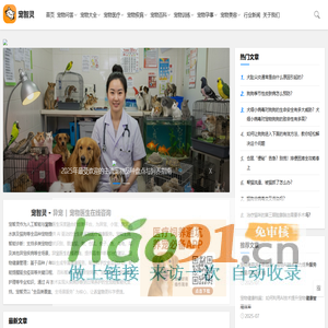 好顺咨询工作室